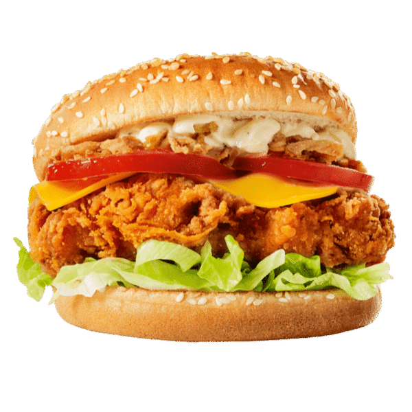 X-Frango Especial